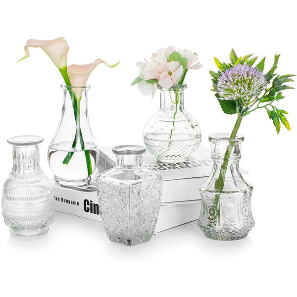 nuptio Glass Bud Vase Set of 5 Decorative Rustic Vases Embossed for Home Decor