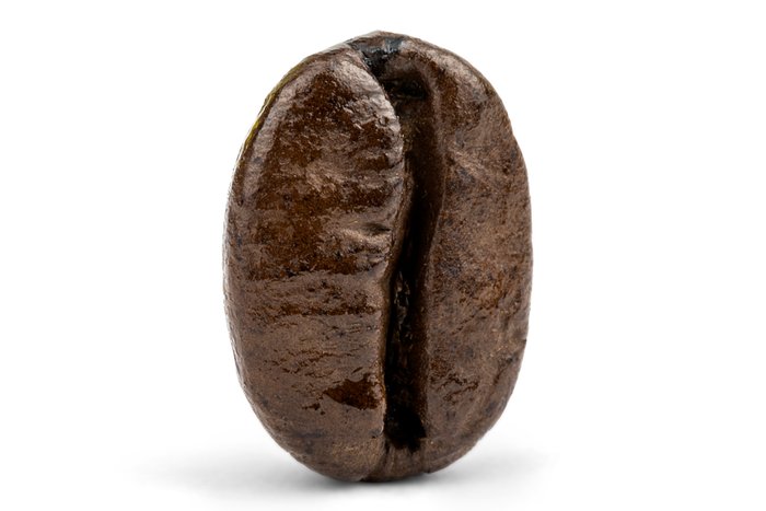 nuts Decaf Colombian Medellin Supremo Coffee