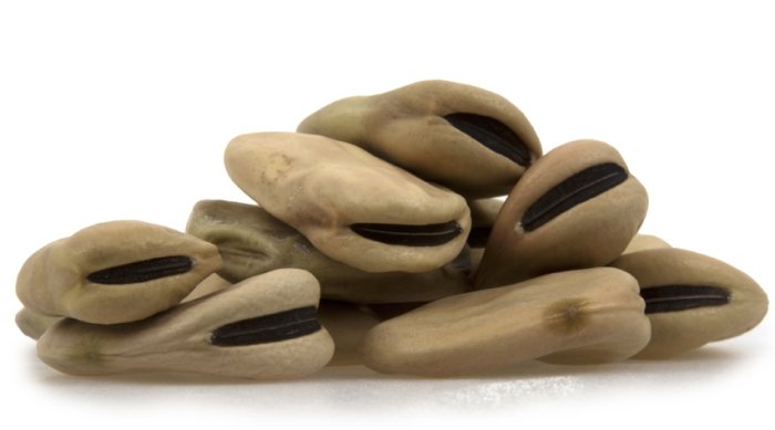 nuts Fava Beans (Giant)
