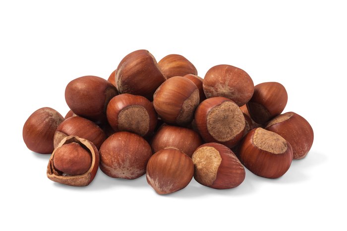 Nuts Hazelnuts / Filberts (In Shell)