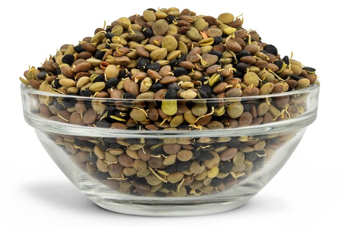 Nuts Organic Sprouted Lentil Blend
