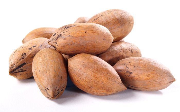 nuts Paper-Shell Pecans