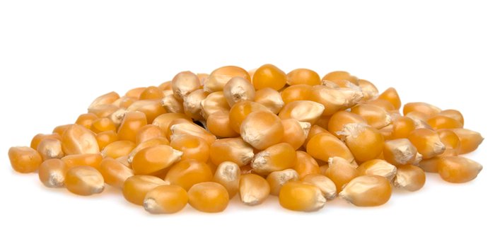 nuts Popcorn Kernels