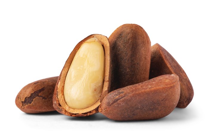 nuts Raw Pine Nuts (In shell) for Birds