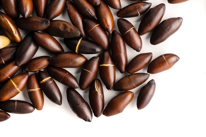 Nuts Roasted Baru Nuts (Salted)