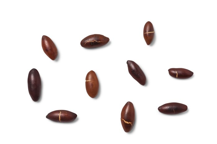 Nuts Roasted Baru Nuts (Unsalted)