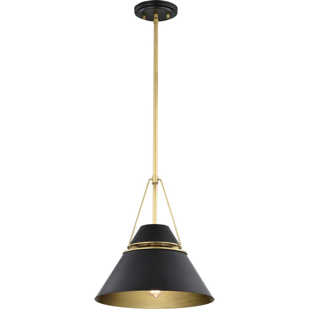 Nuvo Lighting Adina 1 Light 12.75 Inch Matte Black Pendant Ceiling Light