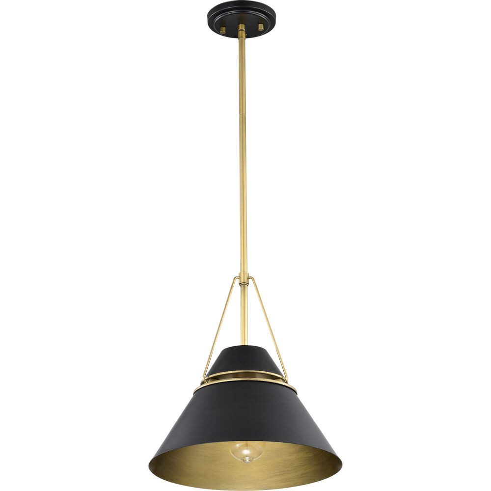 Nuvo Lighting Adina 1 Light 12.75 Inch Matte Black Pendant Ceiling Light