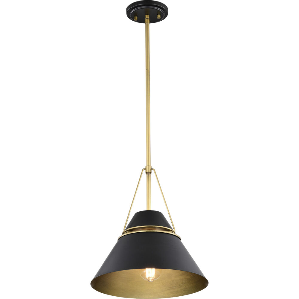 Nuvo Lighting Adina 1 Light 12.75 Inch Matte Black Pendant Ceiling Light