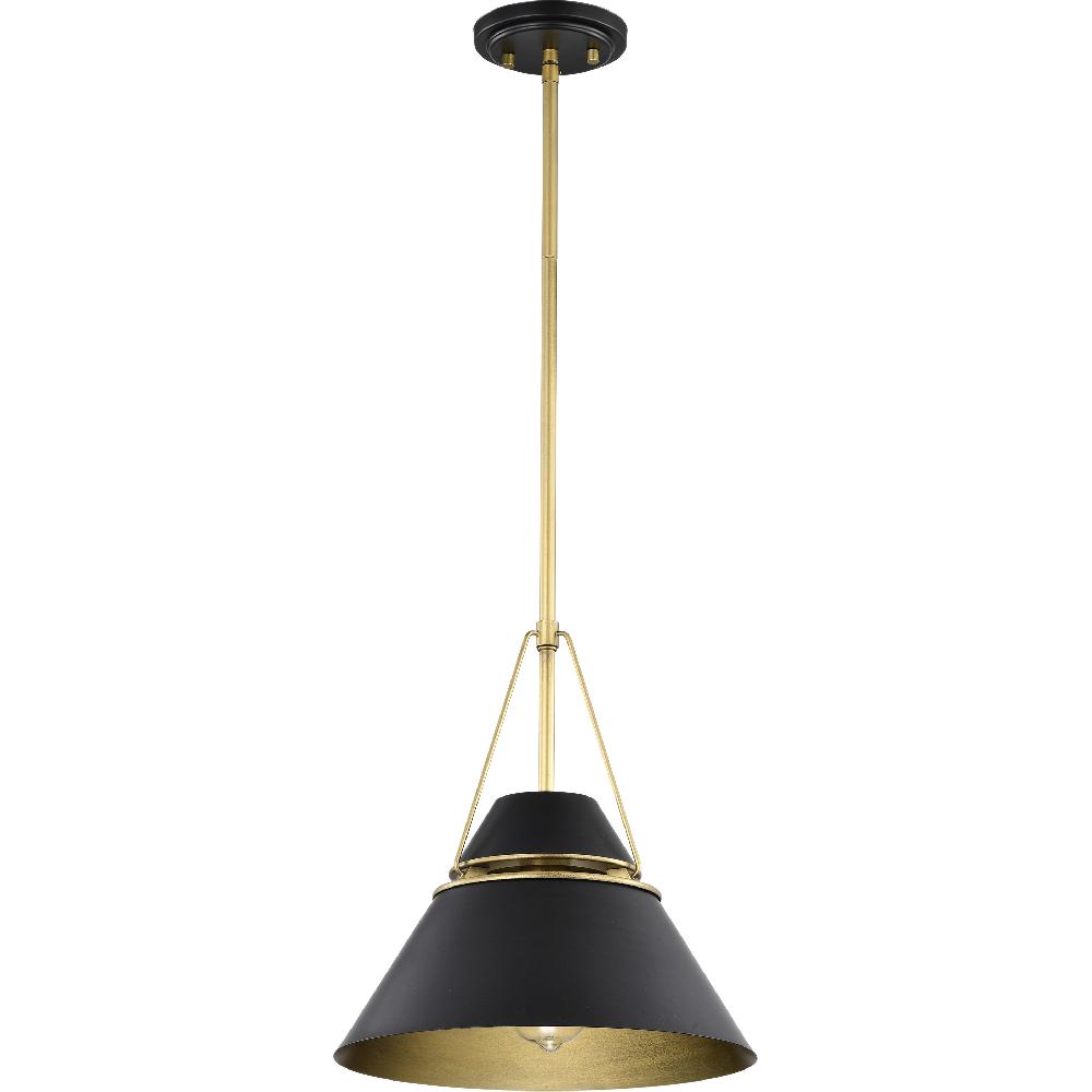 nuvo lighting Adina 1 Light 12.75 inch Matte Black Pendant Ceiling Light