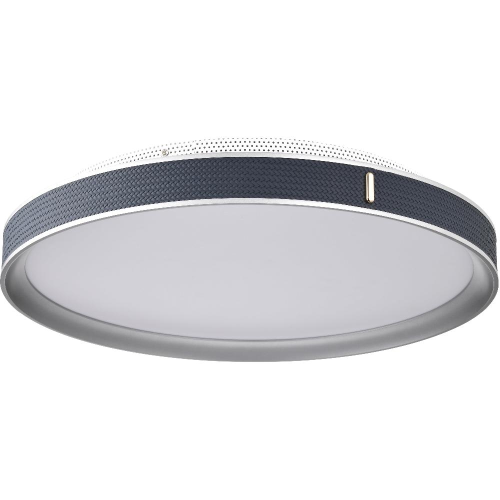 nuvo lighting Bandon LED 19.5 inch Gray Flush Mount Ceiling Light
