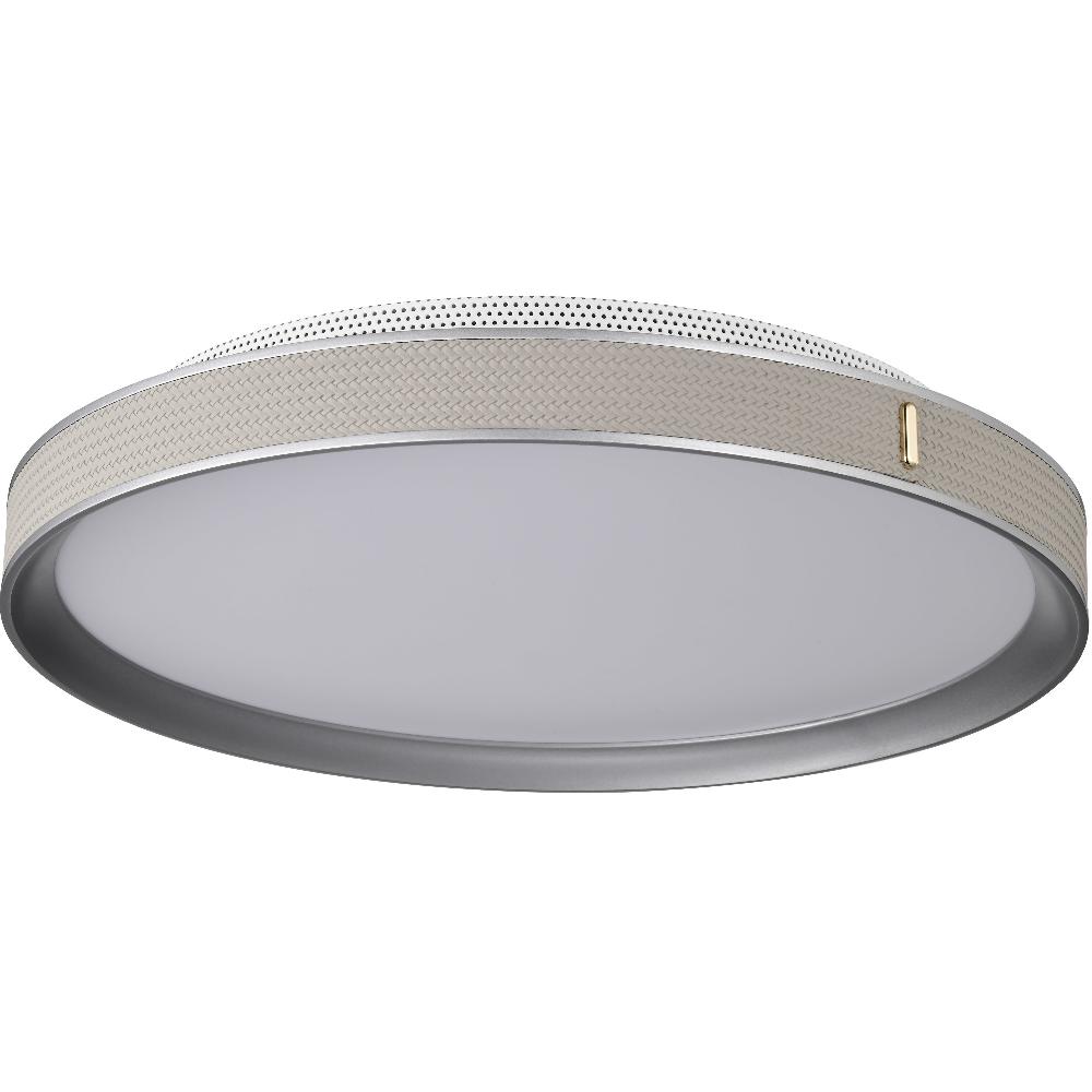 nuvo lighting Bandon LED 19.5 inch Gray Flush Mount Ceiling Light