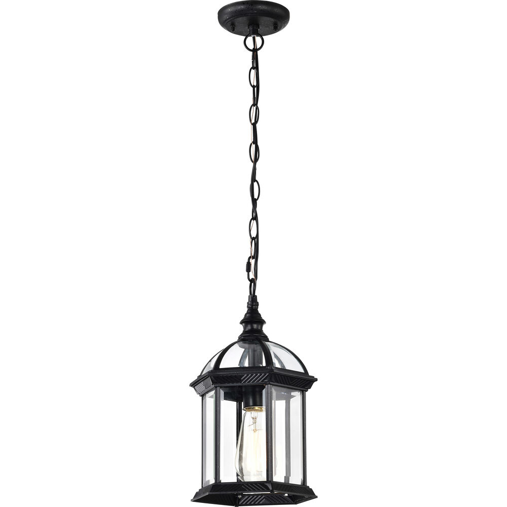 Nuvo Lighting Boxwood 1 Light 8 Inch Textured Black Outdoor Hanging Lantern