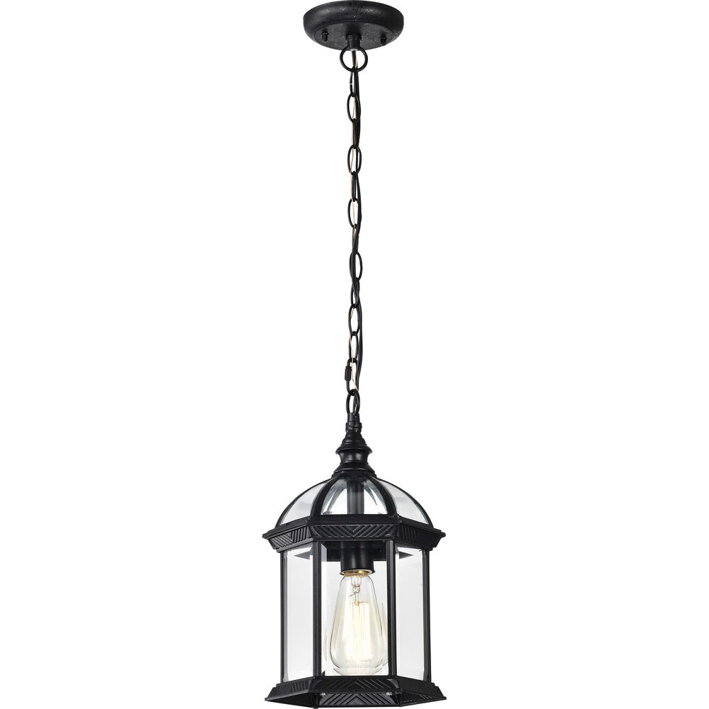 Nuvo Lighting Boxwood 1 Light 8 Inch Textured Black Outdoor Hanging Lantern