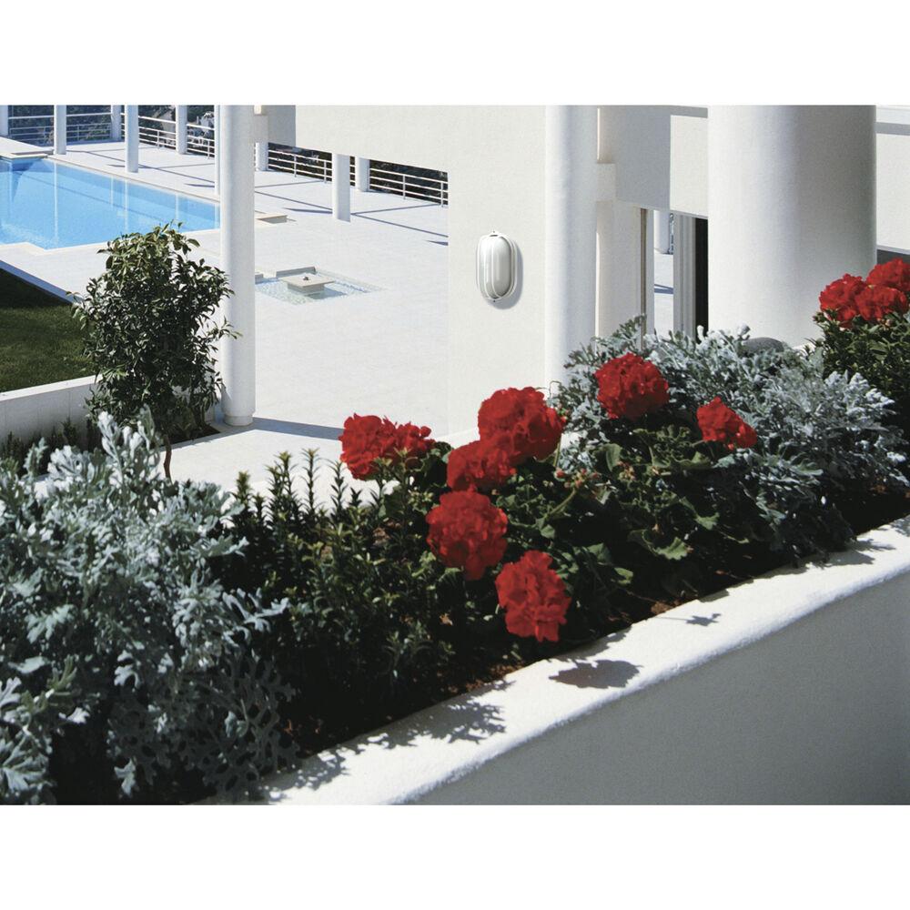 Nuvo Lighting Brentwood 1 Light 10 Inch Semi Gloss White Outdoor Bulk Head