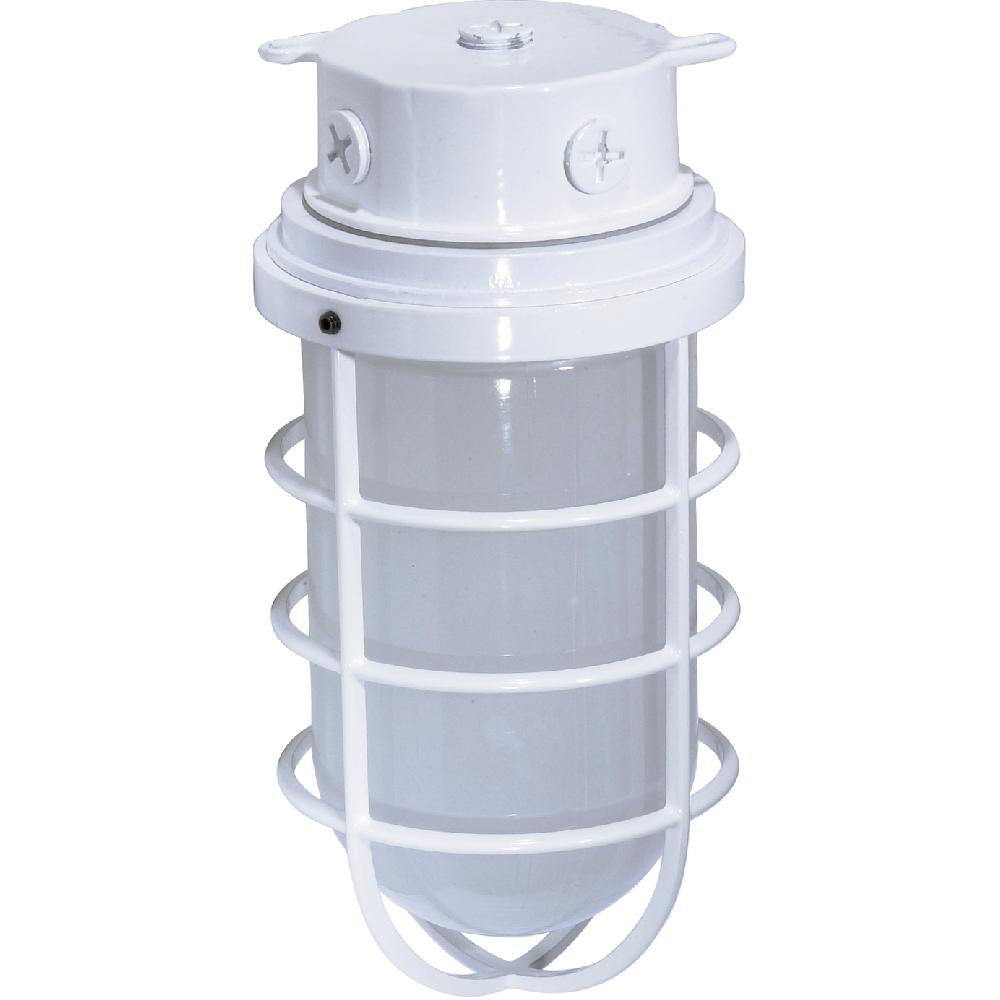 nuvo lighting Brentwood 1 Light 6 inch White Outdoor Ceiling Mount