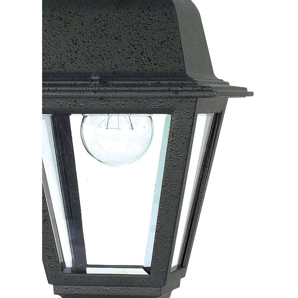 Nuvo Lighting Briton 1 Light 6 Inch Textured Black Outdoor Hanging Lantern