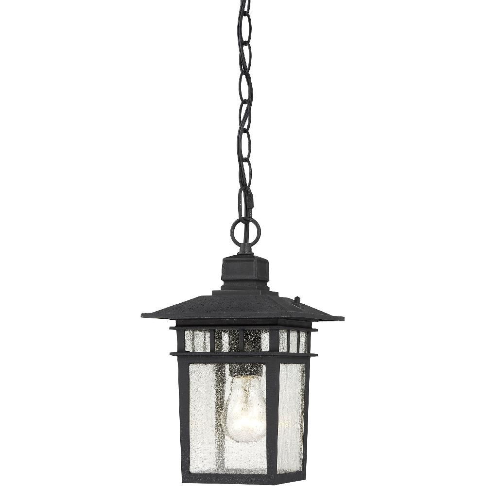 nuvo lighting Cove Neck 1 Light 7 inch Textured Black Outdoor Hanging Lantern