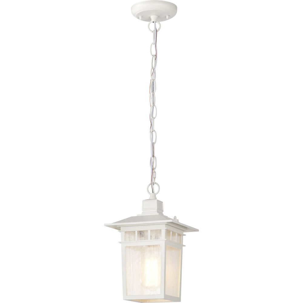 Nuvo Lighting Cove Neck 1 Light 7 Inch White Outdoor Hanging Lantern
