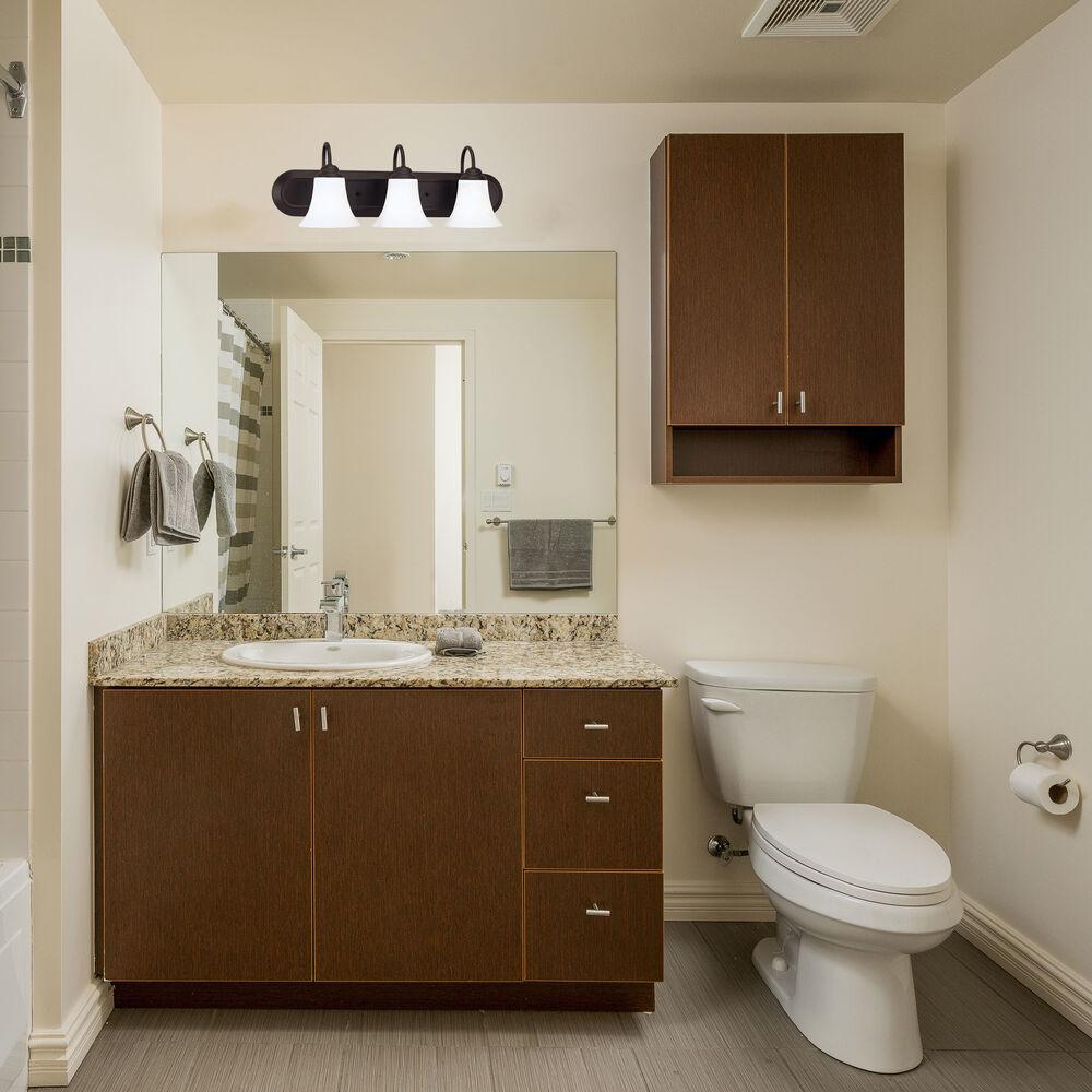 Nuvo Lighting Dupont 3 Light 24 Inch Dark Chocolate Bronze Vanity Light Wall Light