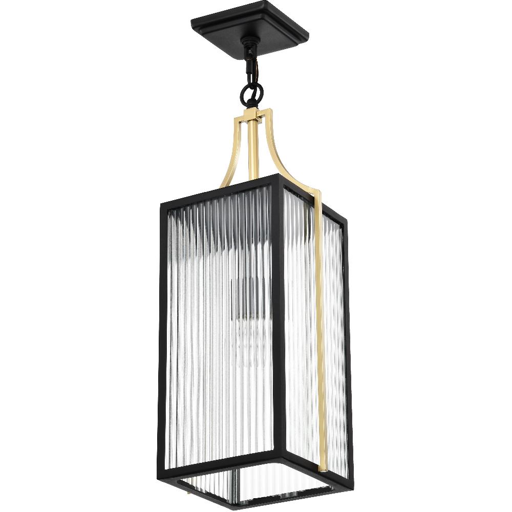 nuvo lighting Holden 8.5 inch Black and Gold Outdoor Hanging Light