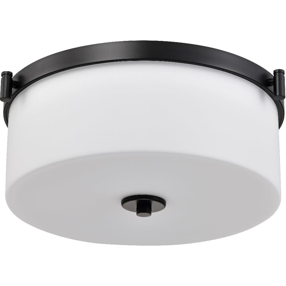 nuvo lighting Liam 16.63 inch Matte Black Flush Mount Ceiling Light