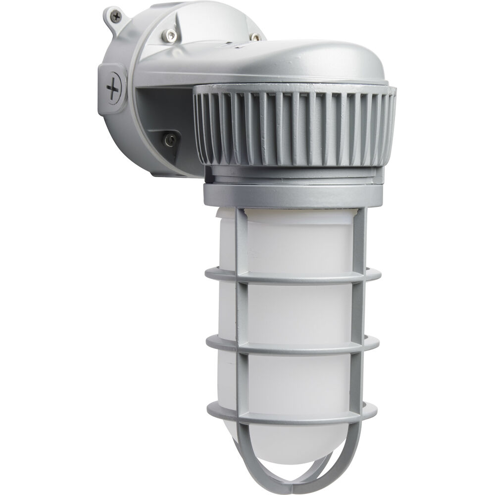 Nuvo Lighting Brentwood Outdoor Wall Mount