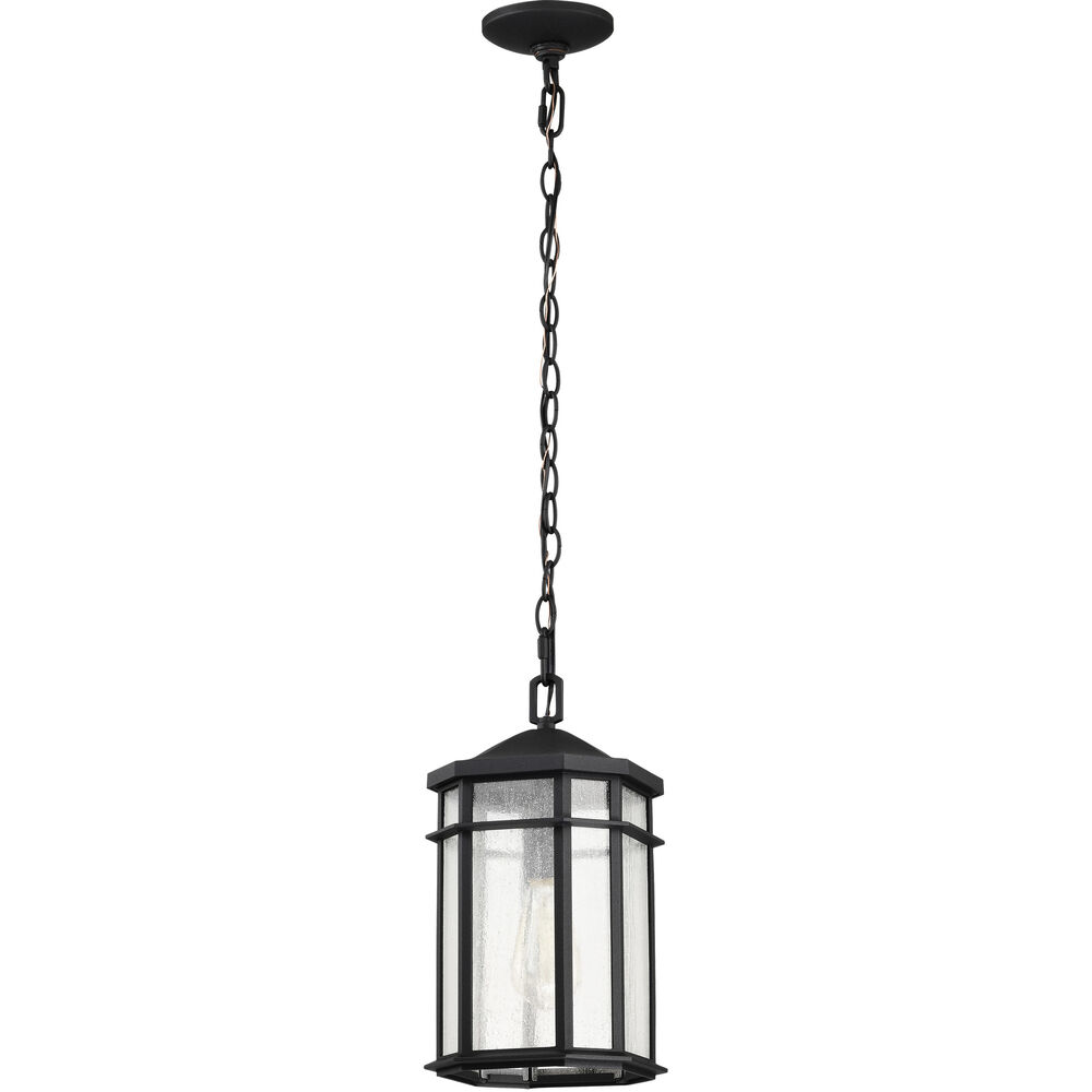 Nuvo Lighting Raiden 8 Inch Matte Black Outdoor Hanging Lantern