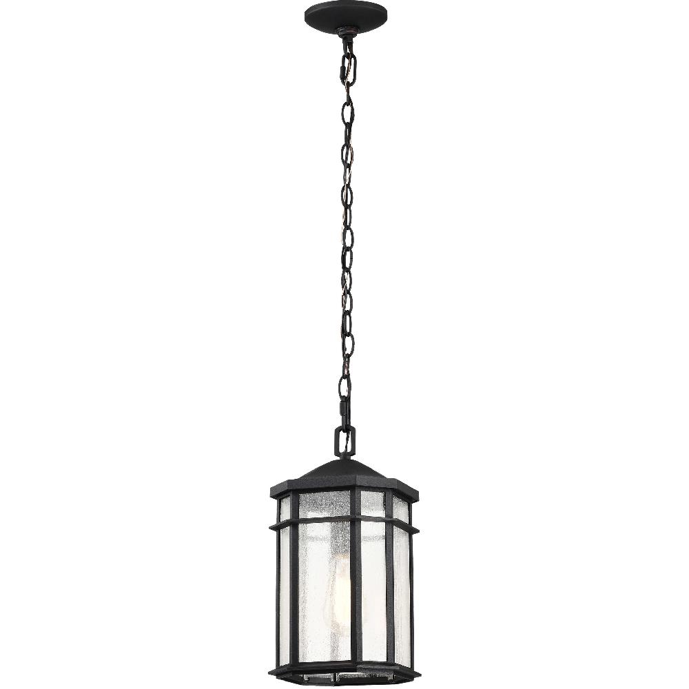nuvo lighting Raiden 8 inch Matte Black Outdoor Hanging Lantern