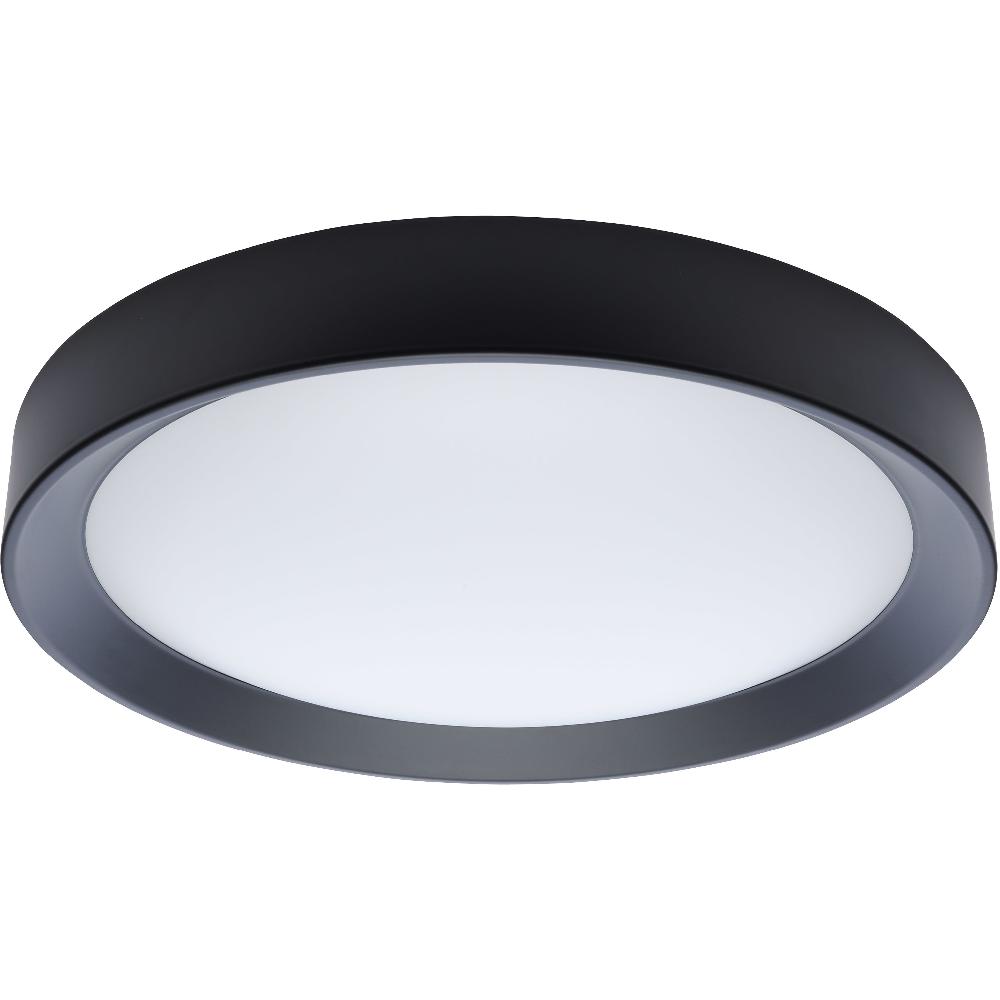 nuvo lighting Selene LED 16.61 inch Black Flush Mount Ceiling Light