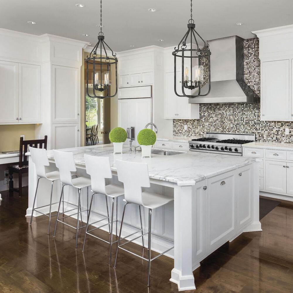 Nuvo Lighting Sherwood 4 Light 17 Inch Iron Black And Brushed Nickel Accents Pendant Ceiling Light