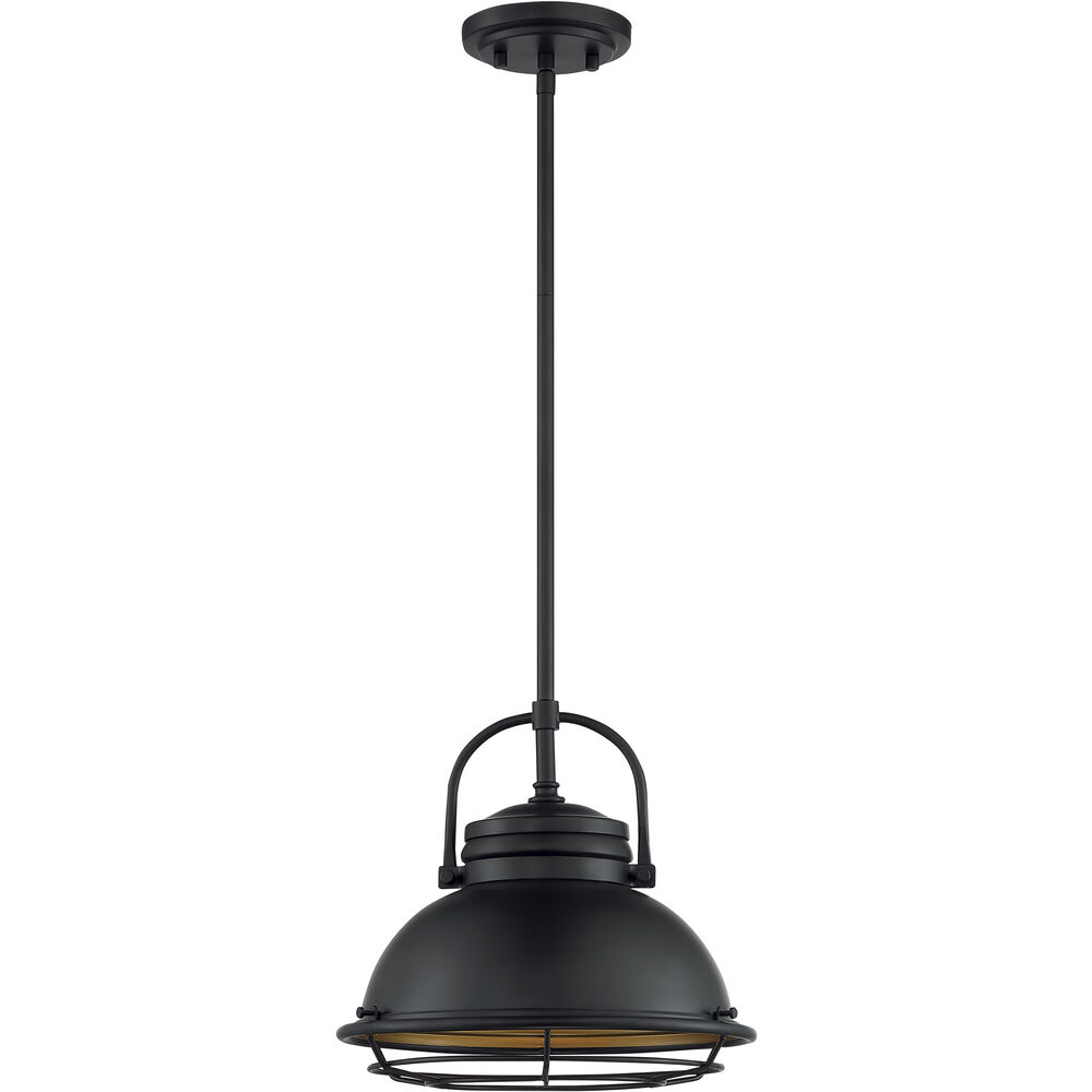 Nuvo Lighting Upton 1 Light 12 Inch Dark Bronze And Gold Pendant Ceiling Light
