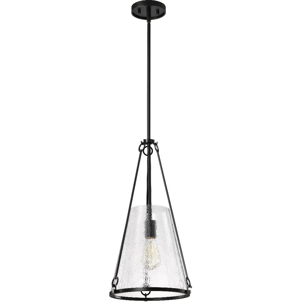 nuvo lighting Valentine 12 inch Black Pendant Ceiling Light