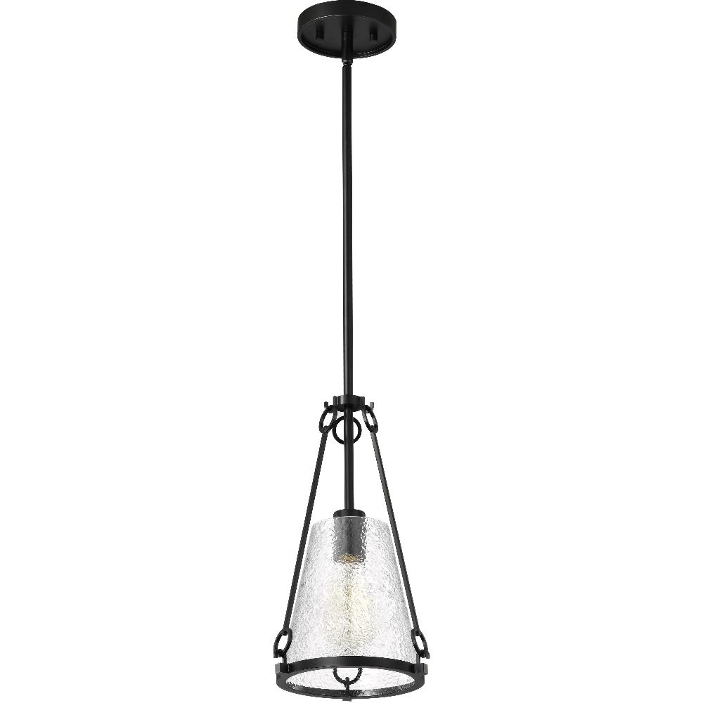 nuvo lighting Valentine 8 inch Black Pendant Ceiling Light