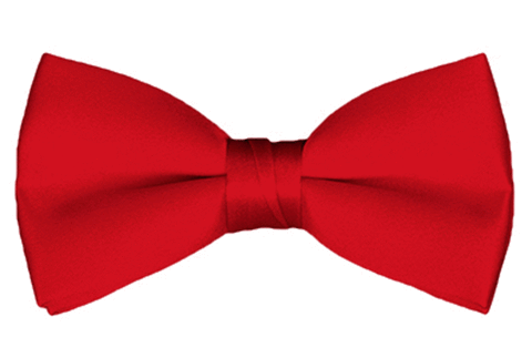 nyfashion101 NYFASHION101 Men's Solid Color Adjustable Pre-Tied Bow Tie