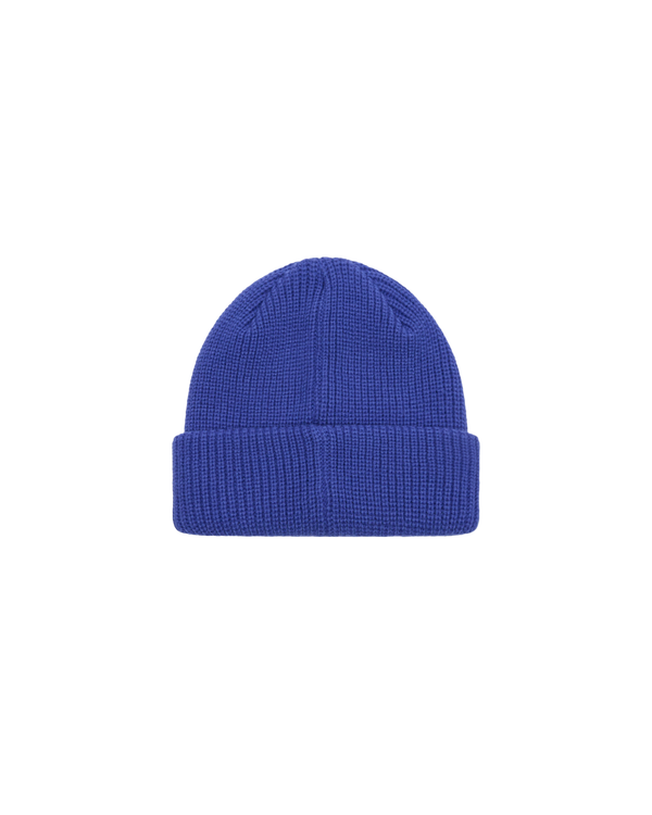 Obey FUTURE BEANIE