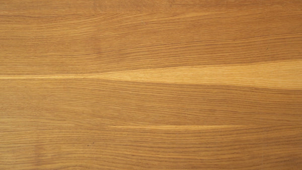 Ocean & Earth Aircon Single Zip Backpack