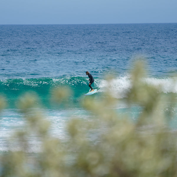 Ocean & Earth Diamond Flex Longboard Regular - 9ft