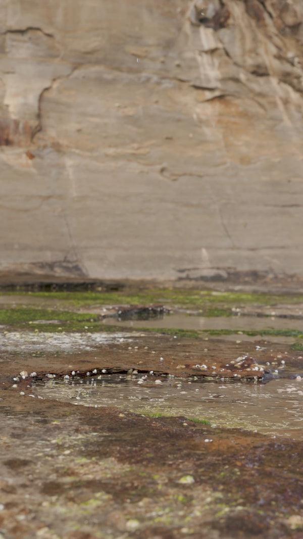 Ocean & Earth Elements Wetsuit Bag