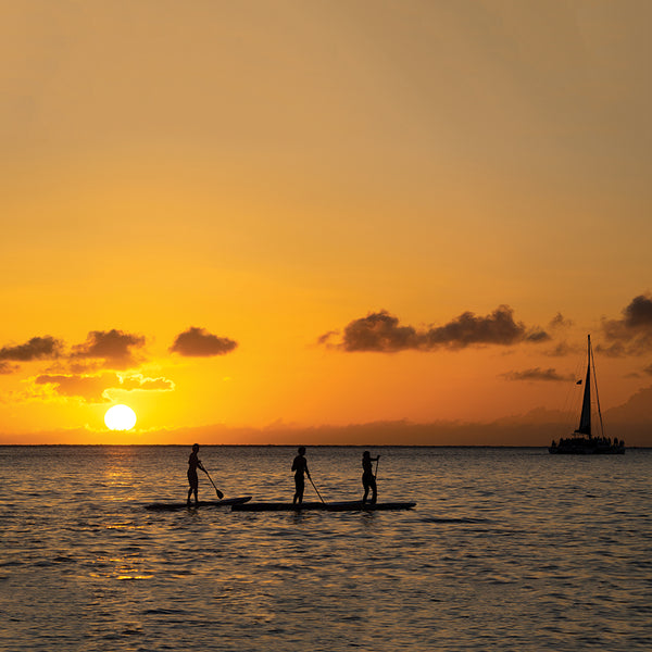 Ocean & Earth Kids Fibreglass Shaft SUP Paddle