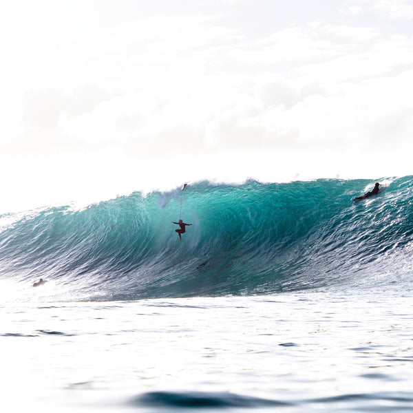 Ocean & Earth Reef Quick Release One-XT - 6ft