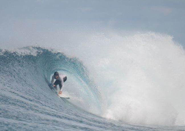 Ocean Sunglasses Dolphin Shiny White