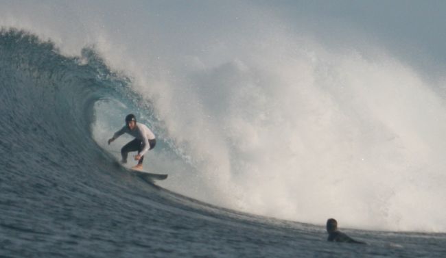 Ocean Sunglasses Dolphin Shiny White