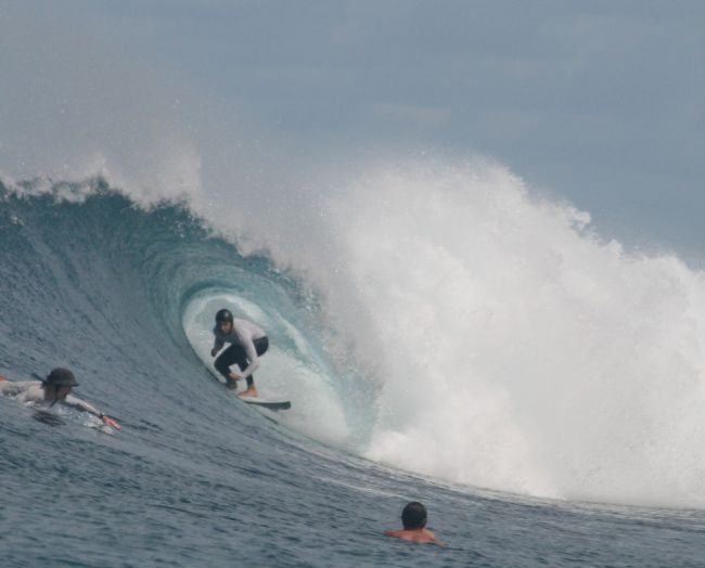 Ocean Sunglasses Rhino Shiny Rose