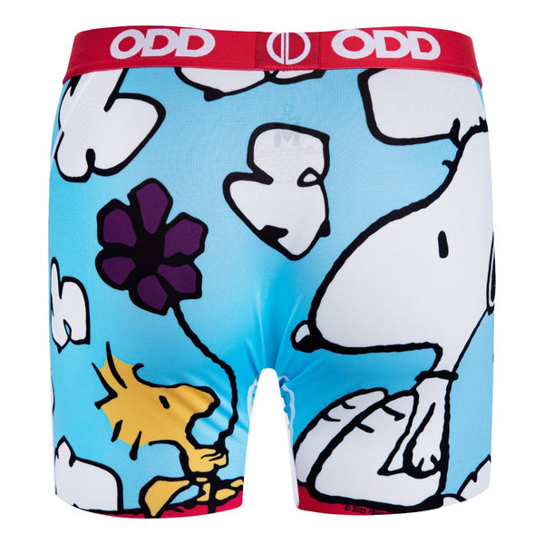Odd Sox On The Dog House Men's Boxer Briefs