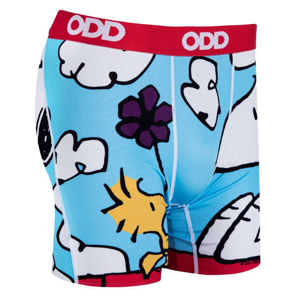 Odd Sox On The Dog House Men's Boxer Briefs