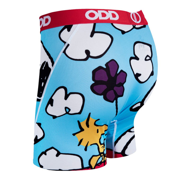 Odd Sox On The Dog House Men's Boxer Briefs