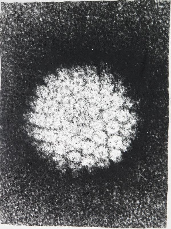 Odin New York Sphere Tee