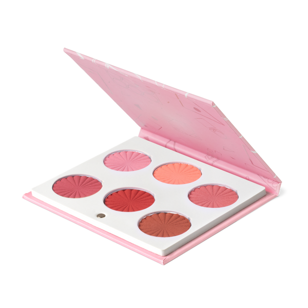 Ofra Cosmetics Mini Mix Face Palette - Charm Your Cheeks