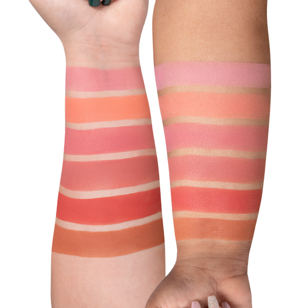 Ofra Cosmetics Mini Mix Face Palette - Charm Your Cheeks